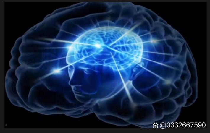 中国男篮91-81力克澳大利亚，这场热身赛为何值得亚星体育平台用户关注？